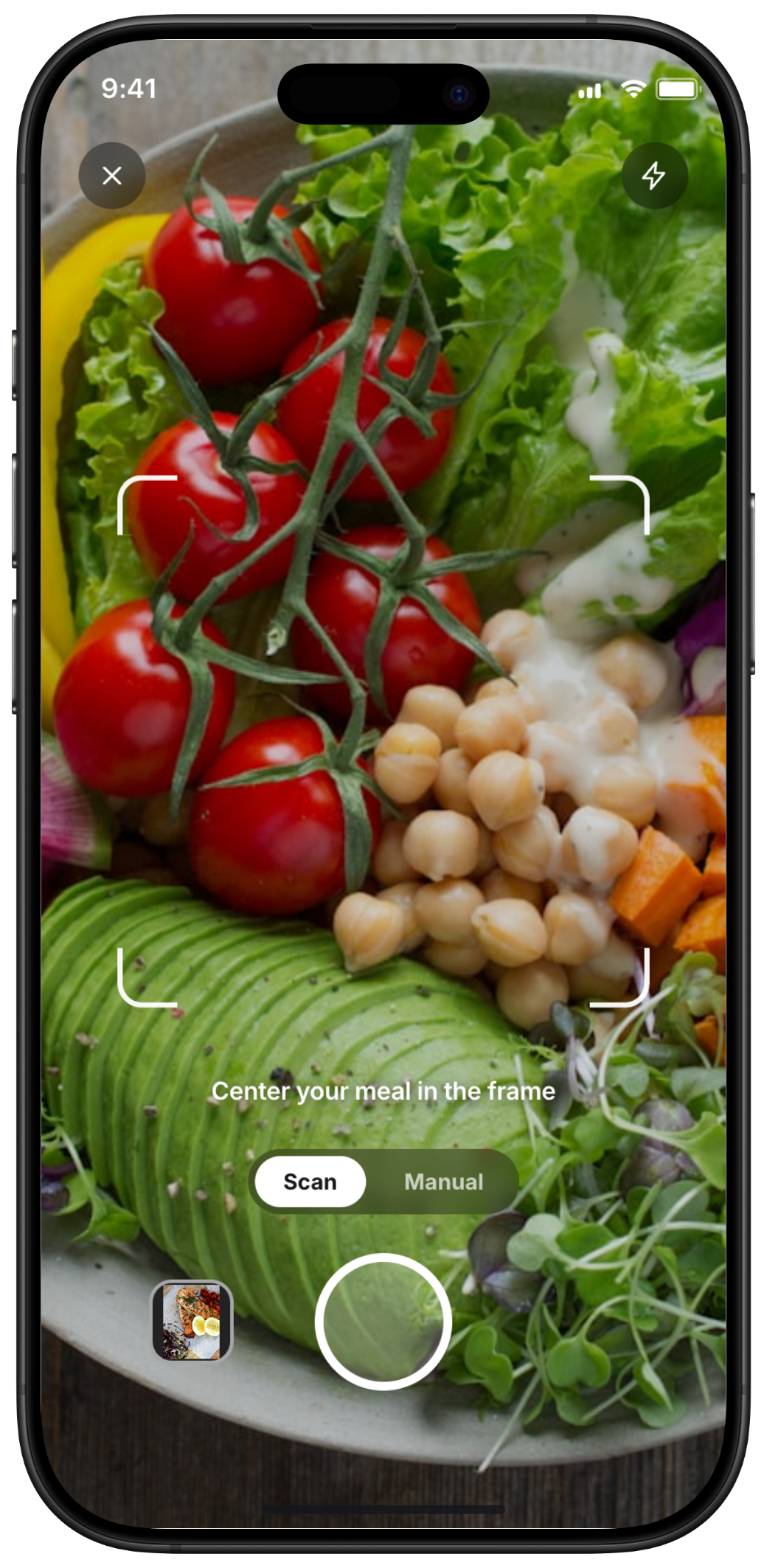 Scanning a meal with the camera